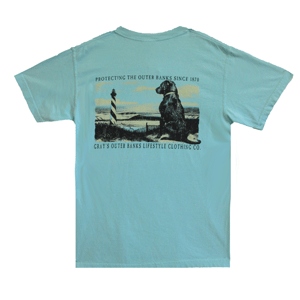 hr 16013T mint