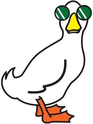 BigDuck